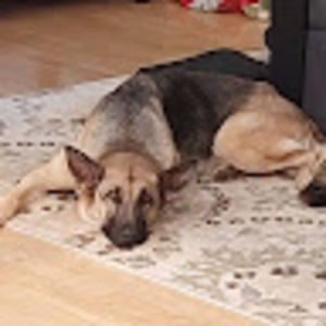 Meet your Posher, Adelene